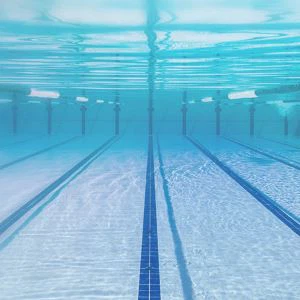 Bicarbonad Sodiwm mewn Pwll a Sba